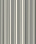 Clean Black White Stripe Pattern Rug