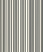 Clean Black White Stripe Pattern Rug