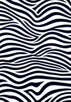 Classic Zebra Stripe Pattern Rug