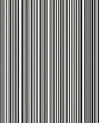 Modern Black White Stripe Pattern Rug