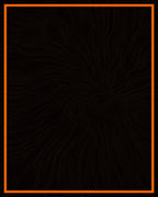 Abstract Swirls Dark Organic Pattern Rug