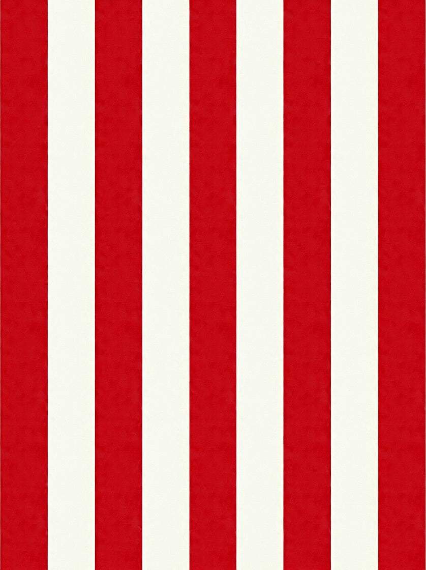 Bold Red Cream Vertical Stripe Rug