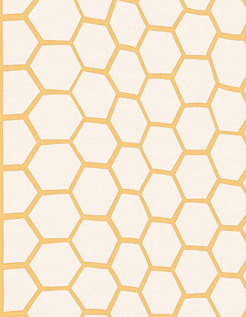 Honey Comb Geometric Pattern Rug