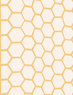 Honey Comb Geometric Pattern Rug