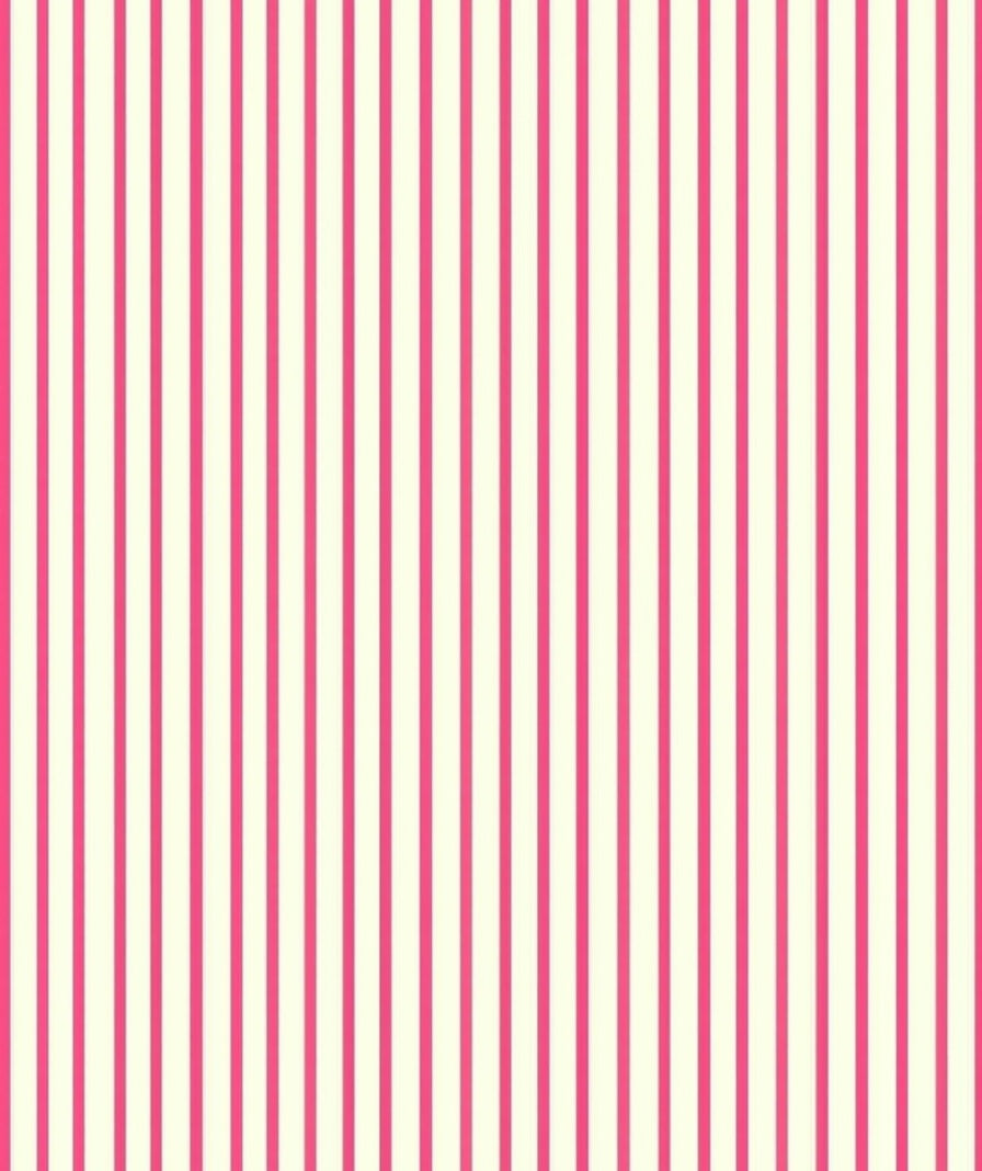 Bold Pink And Cream Stripe Pattern Rug