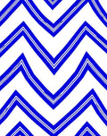 Bold Blue White Zag Pattern Rug