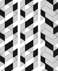Geometric Black White Illusion Pattern Rug