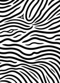 Bold Zebra Style Stripped Pattern Rug