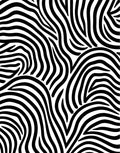 Bold Black White Zebra Stripes Rug