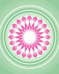 Pink Blossom Zen Mandala Design Rug