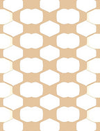 Modern Geometric Honeycomb Design Rug