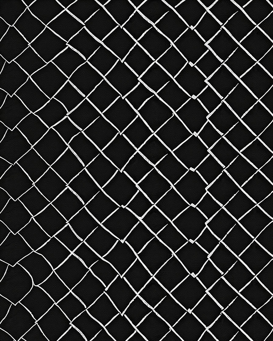 Black White Woven Net Pattern Rug