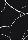 Black White Abstract Crack Pattern Rug