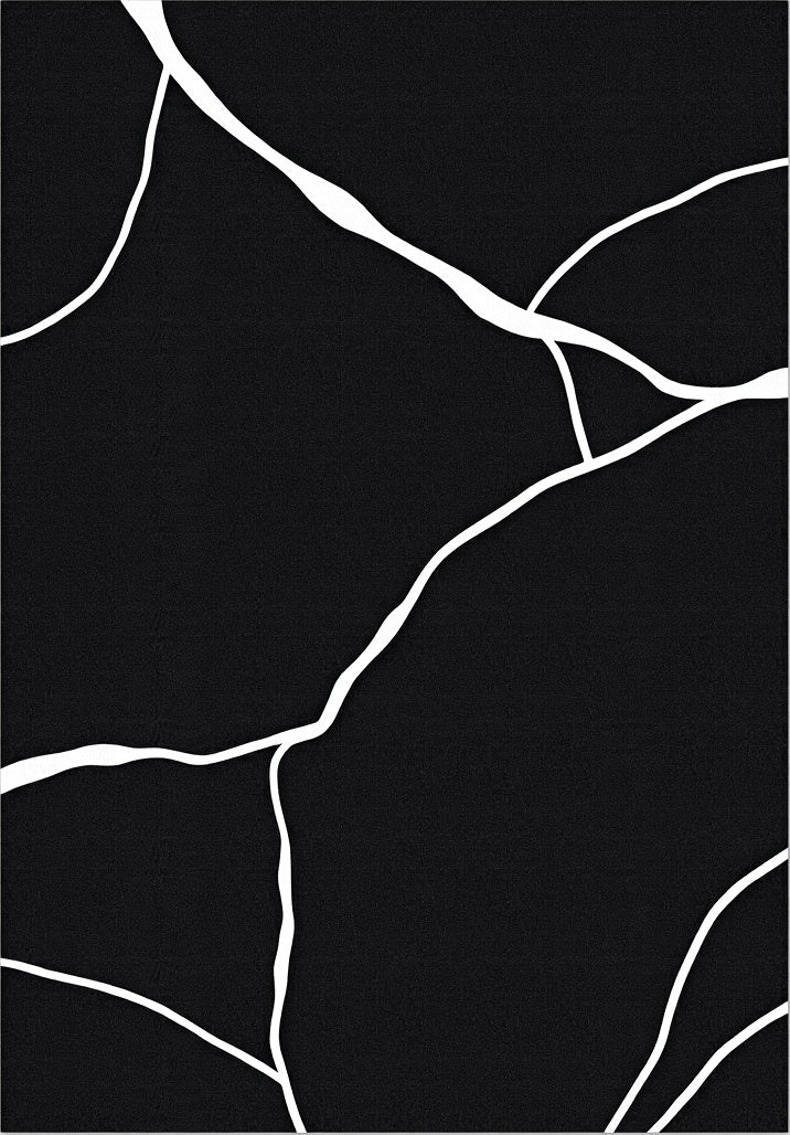 Black White Abstract Crack Pattern Rug