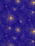 Exploding Starburst Pattern Rug