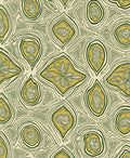 Organic Abstract Lines Pattern Rug
