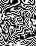Bold Zebra Stripe Pattern Design Rug