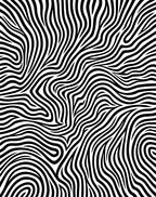 Bold Zebra Stripe Pattern Design Rug