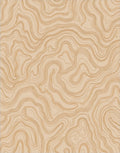 Desert Topographic Contour Lines Pattern Rug