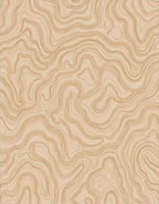 Desert Topographic Contour Lines Pattern Rug