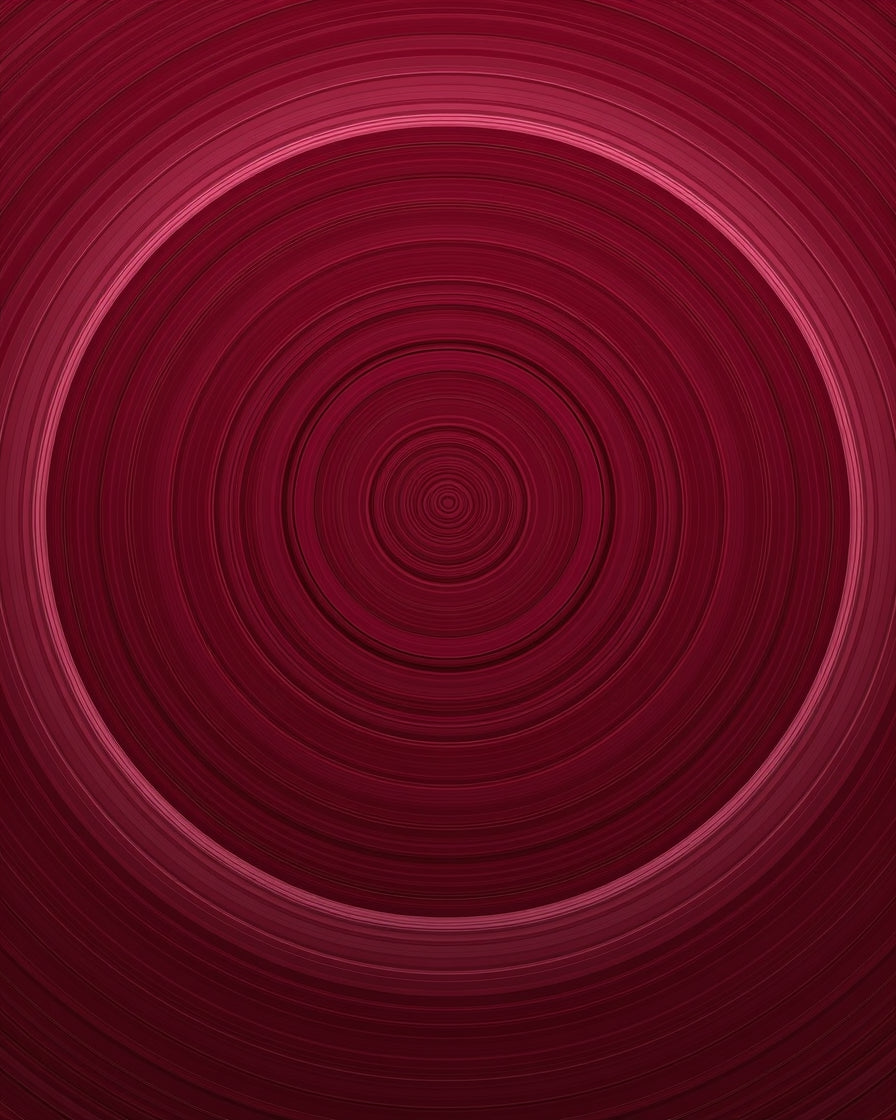 Crimson Concentric Modern Pattern Rug