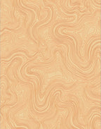 Abstract Topographic Contour Lines Rug