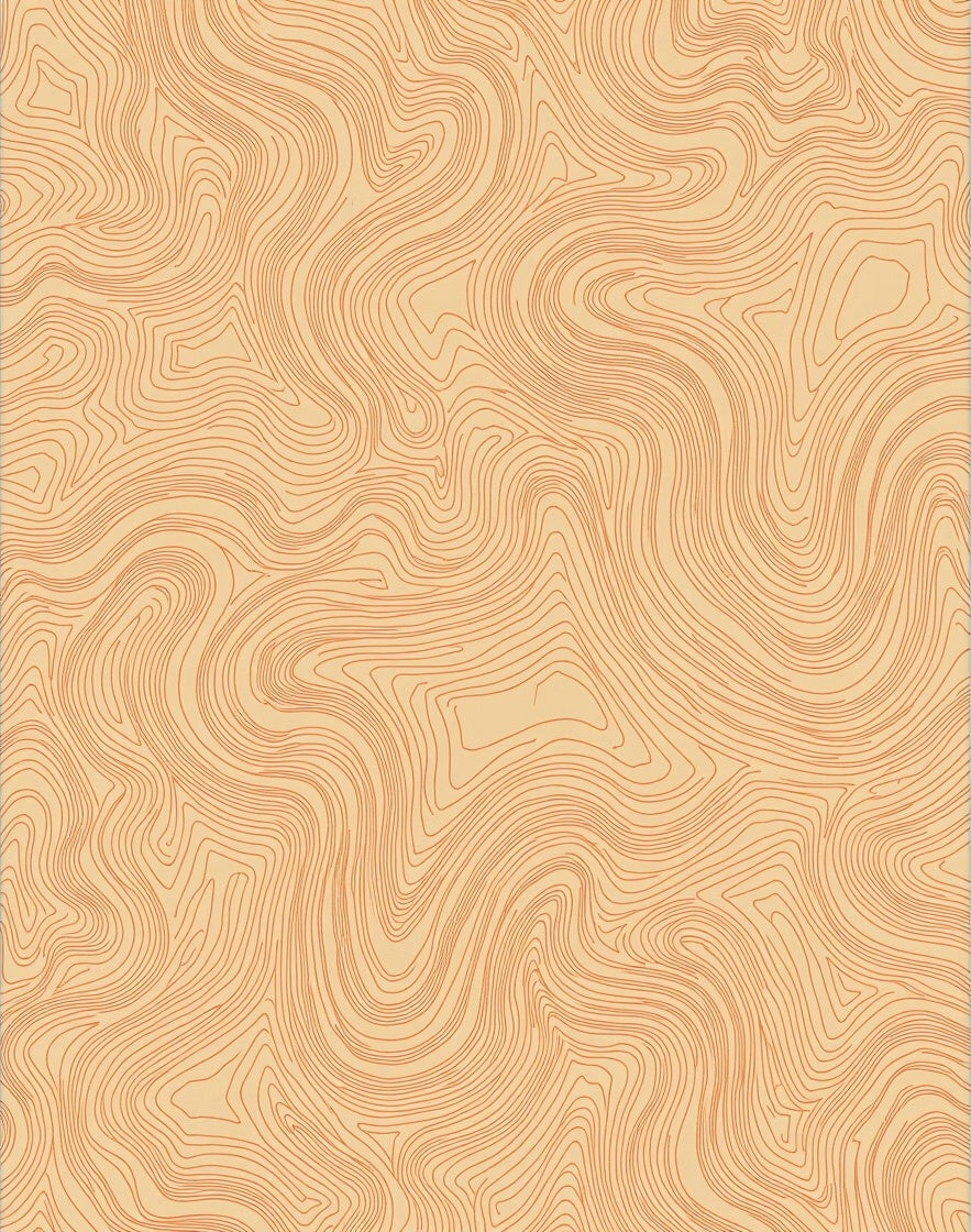 Abstract Topographic Contour Lines Rug