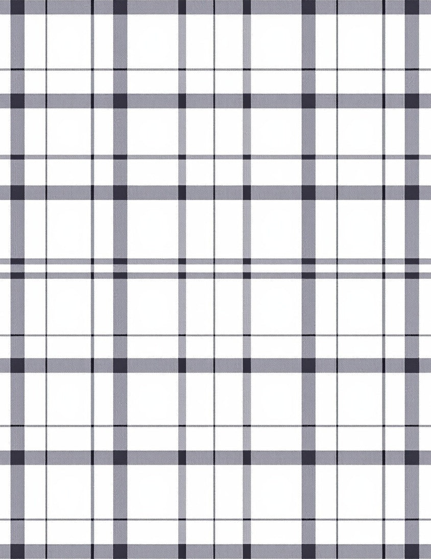 Classic Plaid Indigo White Design Rug