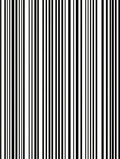 Classic Black and White Stripe Pattern Rug