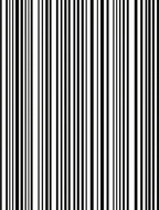 Classic Black and White Stripe Pattern Rug
