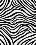 Bold Black White Zebra Stripe Pattern Rug