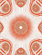 Radial Sunburst Patterned Orange Design Rug