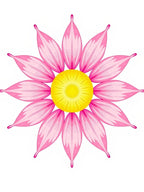Pink Daisy Floral Radiating Pattern Rug