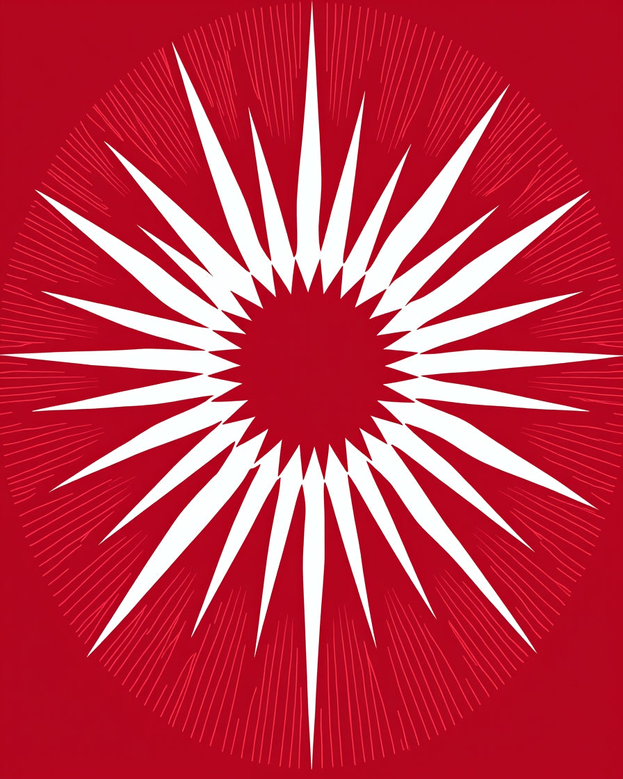Bold Starburst Sunburst Design Rug