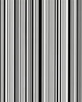 Vertical Line Patterned Design Rug