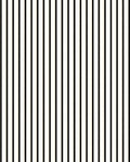 Classic Black White Vertical Stripes Rug