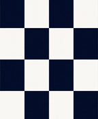 Bold Checkered In Navy and White Rug