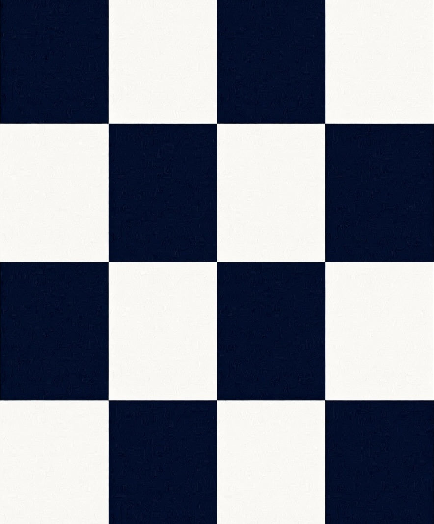 Bold Checkered In Navy and White Rug