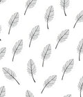 Delicate Feather Pattern Design Rug