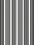 Bold Vertical Stripe Design Rug