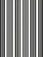 Bold Vertical Stripe Design Rug