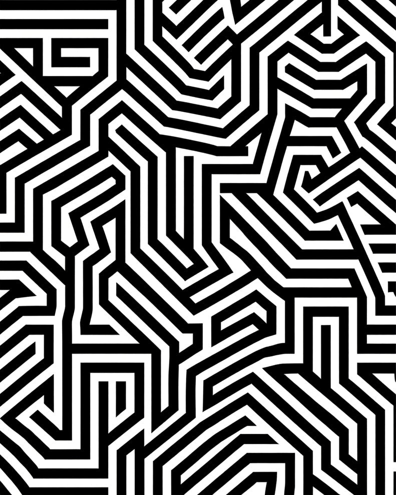 Black White Geometric Maze Design Rug