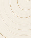 Modern Concentric Gold Lines Rug