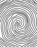 Concentric Line Swirl Pattern Rug