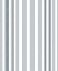 Modern Grey Stripe Pattern Rug