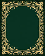 Ornate Gold Baroque Border Design Rug
