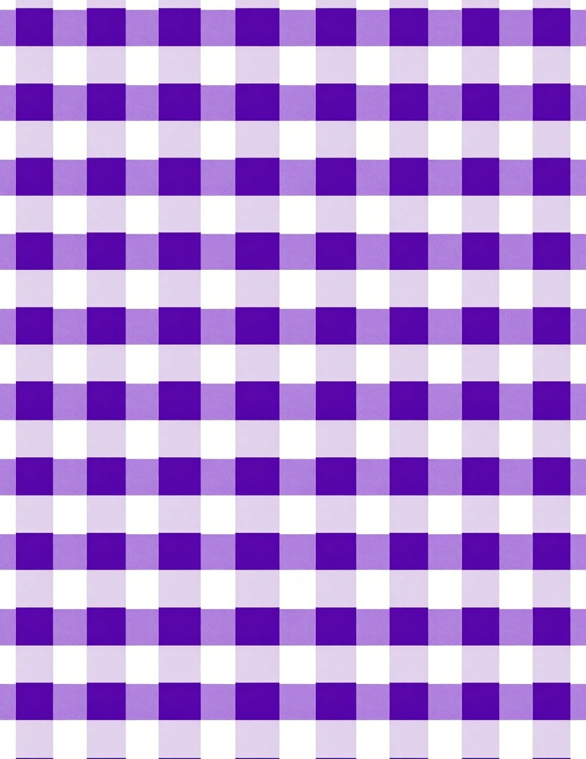 Classic Purple Gingham Checkered Rug