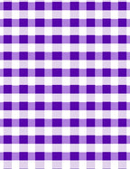Classic Purple Gingham Checkered Rug