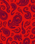 Red Paisley Swirl Decorative Design Rug