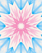 Floral Mandala Style Design Rug